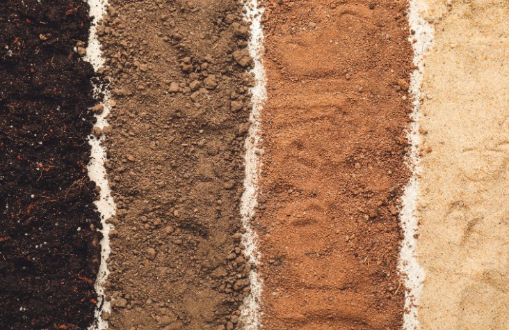 Types of Garden Soil You Can Dispose Of