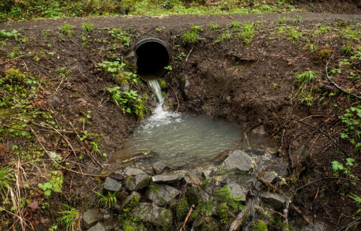 What Materials Help Improve Drainage in a Clay Lawn