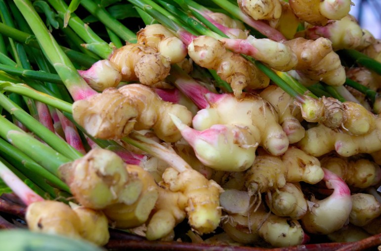 When Is the Best Time to Plant Ginger in the UK