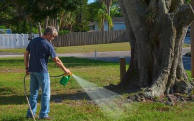 Does White Vinegar Kill Weeds? A Practical UK Garden Guide