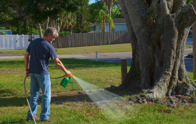 Does White Vinegar Kill Weeds? A Practical UK Garden Guide
