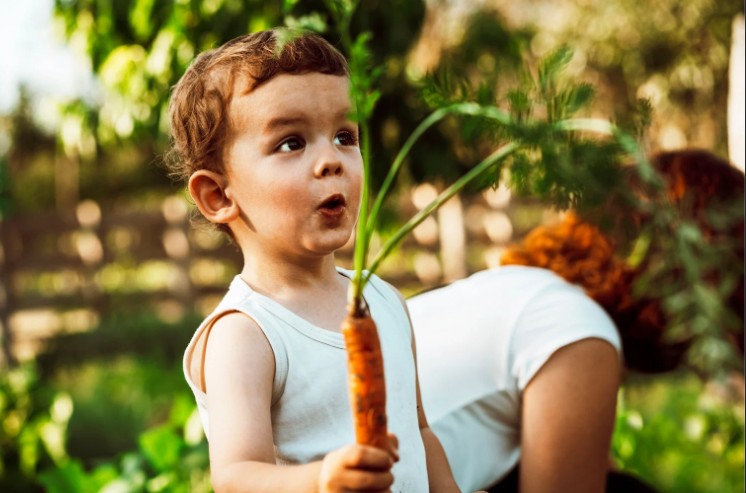 Is It Worth Hiring a Gardener or Doing It Yourself