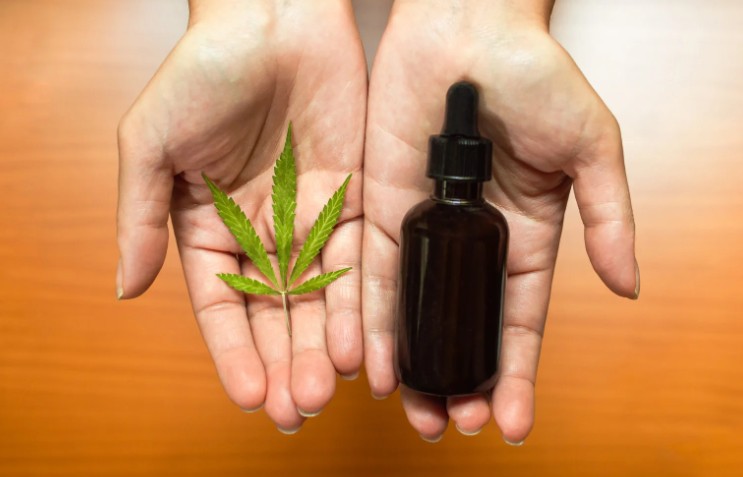 Should I Use White Vinegar to Kill Weeds in My Garden