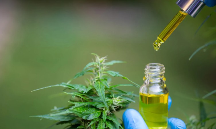 Why Is Weed Illegal in the UK Despite Public Support