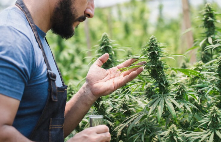 is it illegal to smoke weed