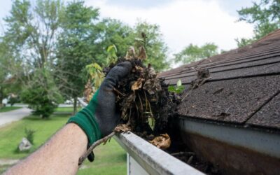 How Often Should Gutters Be Cleaned? A Complete Guide for UK Homeowners