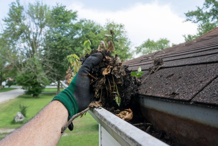 How Often Should Gutters Be Cleaned