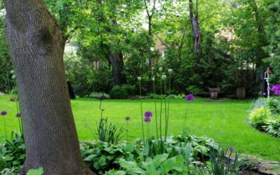 How to Level a Garden? – A UK Step-by-Step Guide