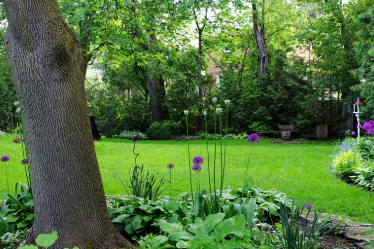 How to Level a Garden