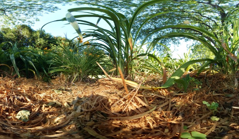 What Are the Common Mistakes When Levelling a Garden