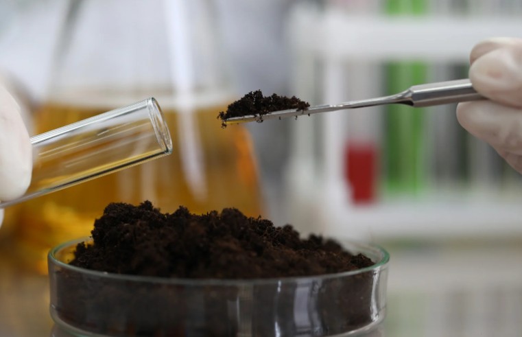 Can Clay Soil Be Acidic or Alkaline