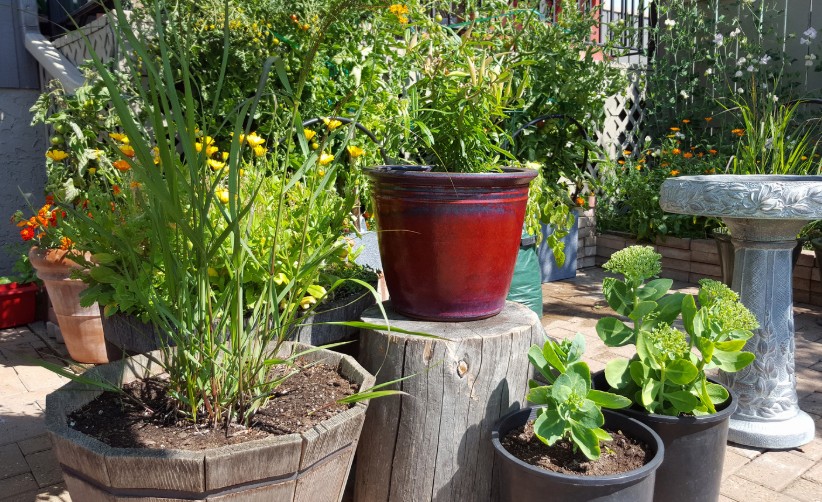 Can Furniture and Storage Make or Break a Small Garden'