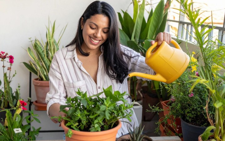 How Can Garden Layout Make a Space Feel Bigger