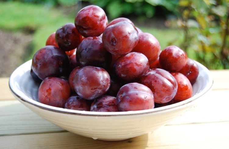 How Can You Tell If a Plum Is Ripe