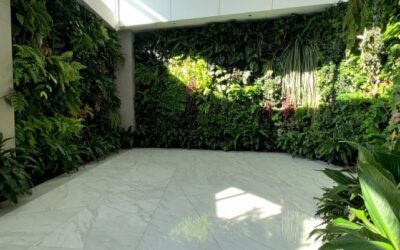 How to Grout Floor Tiles? – A Step By Step Guide for Beginners