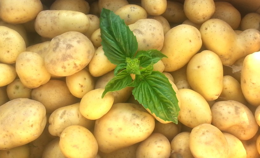 How to Safely Prepare Sprouted Potatoes