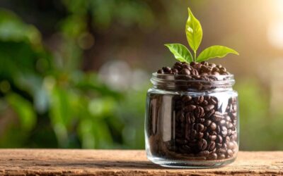 What Plants Like Coffee Grounds in the UK: A Gardener’s Guide to Organic Plant Boosting