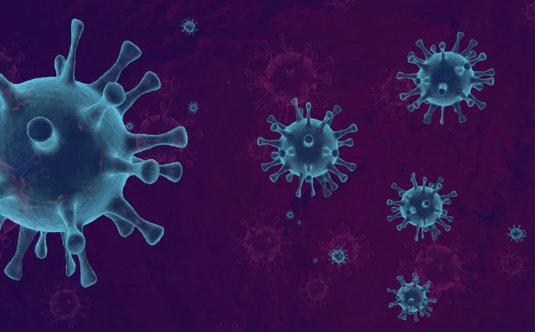 How Illness Can Happen from Mouse Droppings