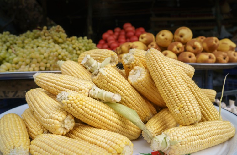 How Long It Takes Corn to Grow