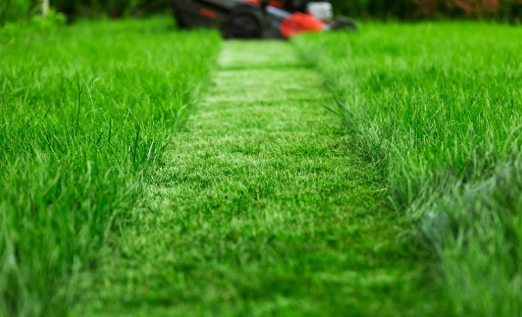 How to Stripe Lawn Without Roller