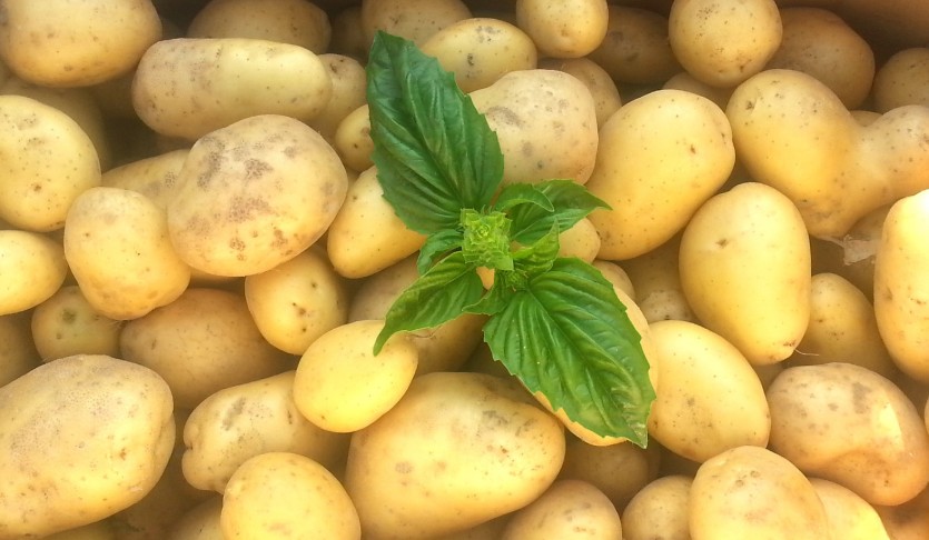 Where to Store Potatoes in a UK Home
