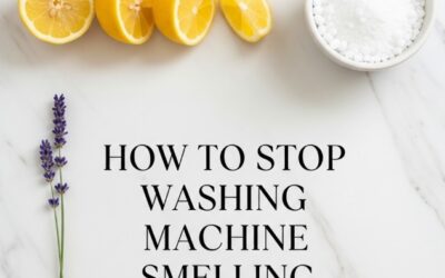 How to Stop Washing Machine Smelling? – A Busy Parent’s Guide to a Fresh Laundry Room