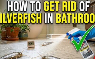 How To Get Rid Of Silverfish In Bathroom? – A UK Expert’s Guide To Reclaiming Your Sanctuary